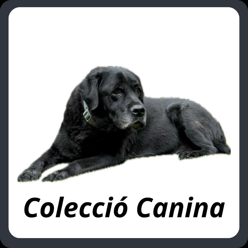 Perros
