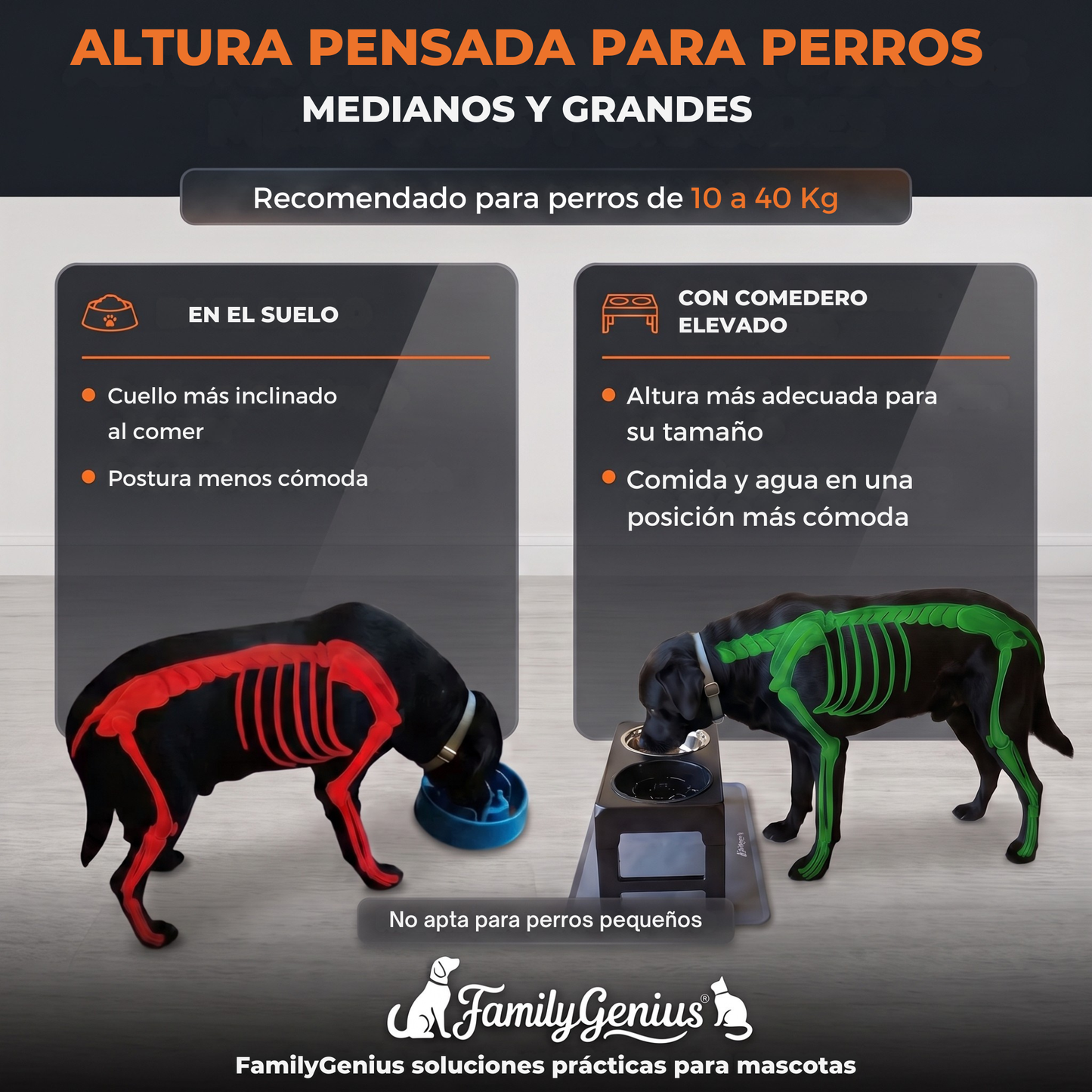 Comedero elevado ajustable para perros