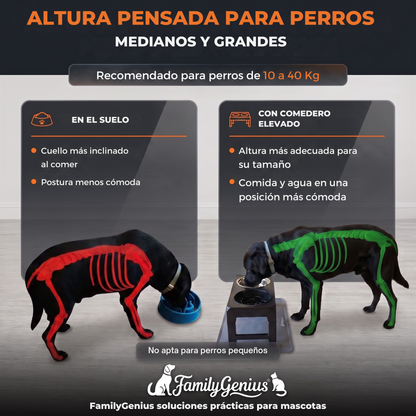Comedero elevado ajustable para perros