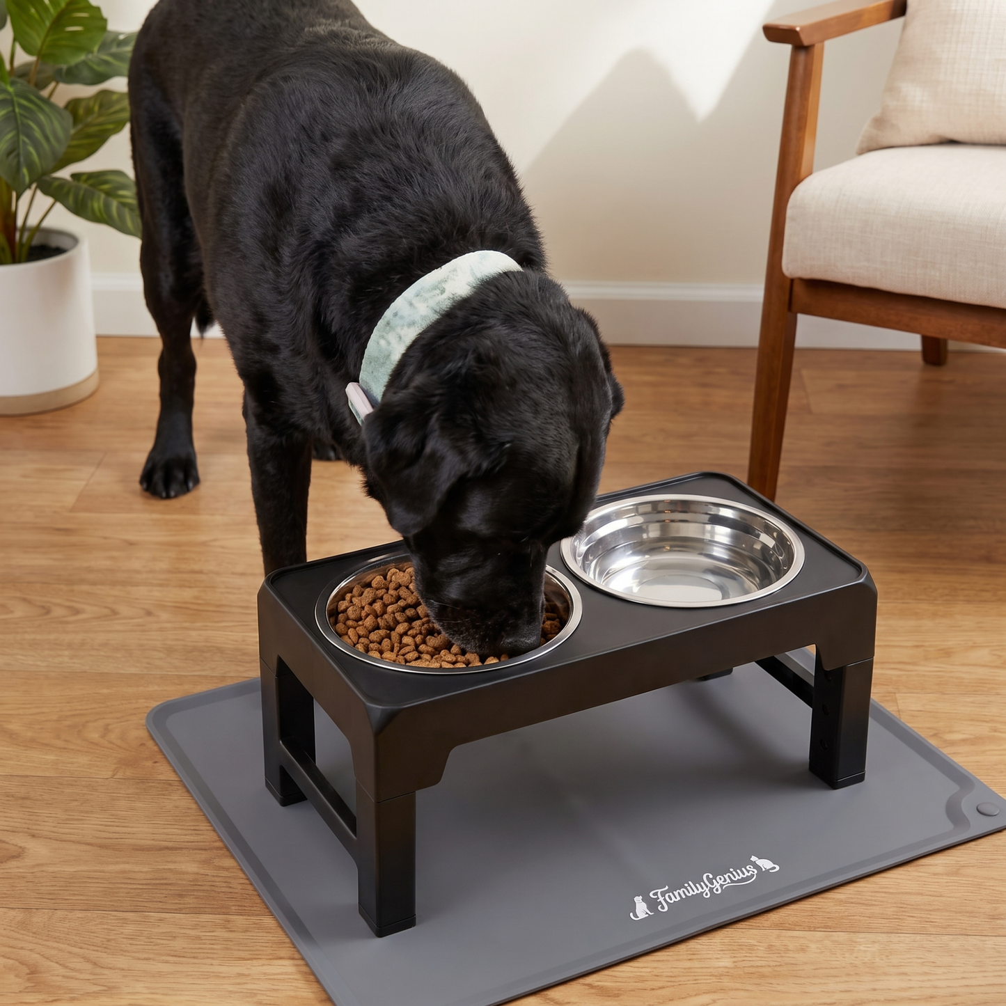 Comedero elevado ajustable para perros