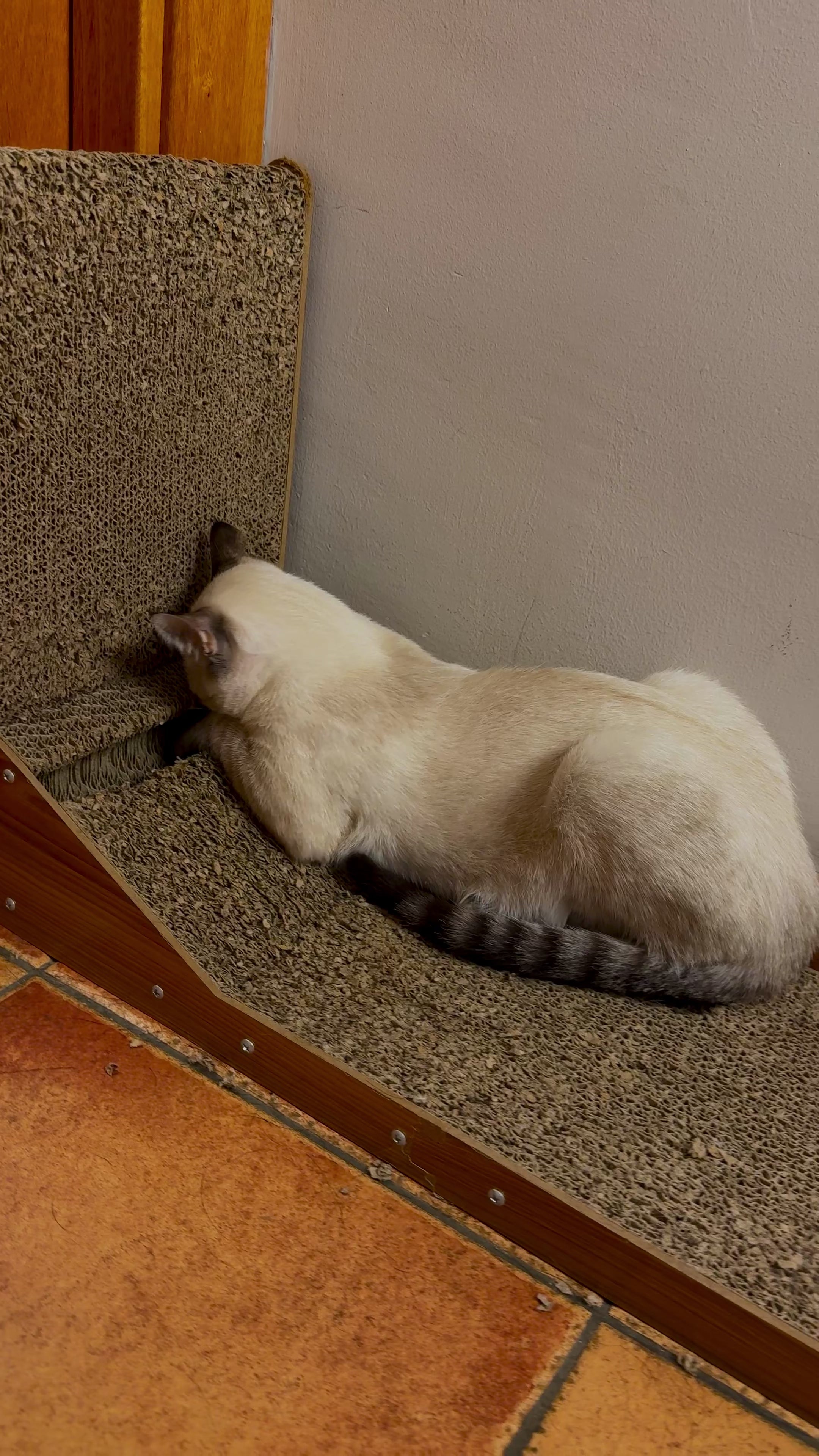 Rascador para Gatos de Madera i Sisal – Diseño Vertical y Juguete Interactivo