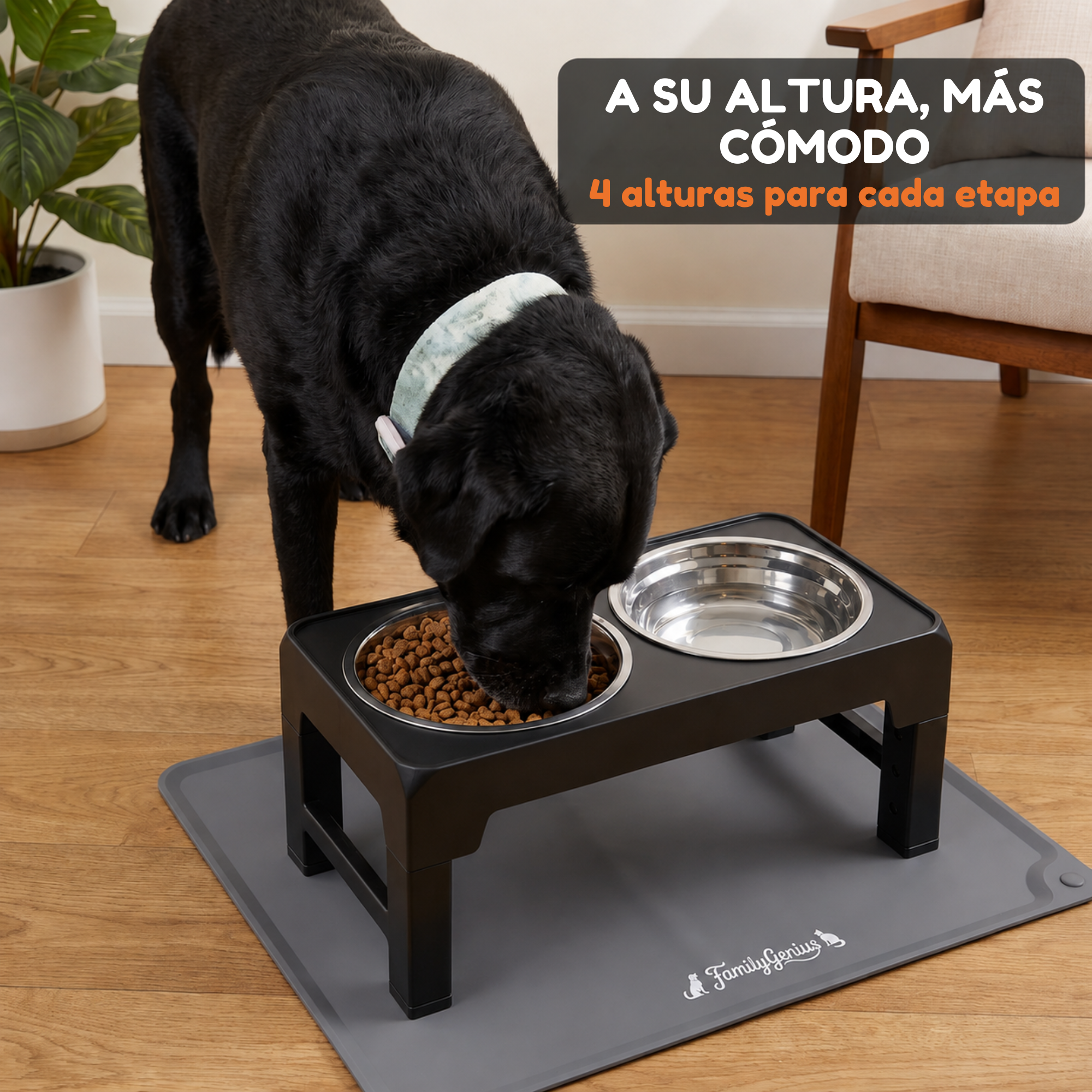 Perro utilizando el comedero elevado FurryGenius