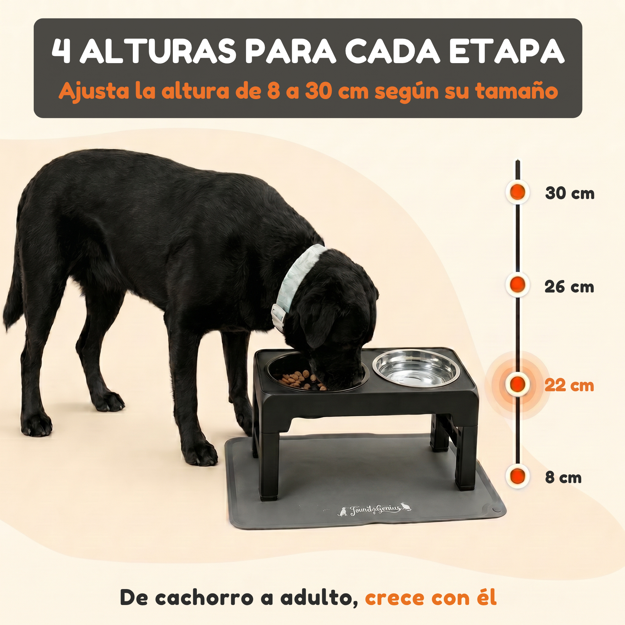 Cuatro alturas ajustables de 8 a 30 centímetros